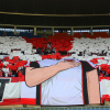 oesterreich - tunesien 1.6.2026 8